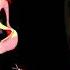 Unfixable Machine DAGames