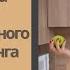 Светлана Кундаль хоумстейджинг в Армении армения сегодня