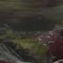 Millions Of Salmon Return Home National Geographic