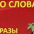 Аудио словарь с картинками к учебнику Комаровой Ю А Brilliant 2 класс Часть 2 смотри 1 и 3