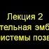 Лекция С В Савельева Эмбриология нервной системы