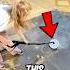 She Broke The Vacuum Cleaner