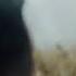 Sargis Gdoyan Hzor Kmnanq