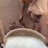 Rajbhog Cooking For Krishna At ISKCON Salem Arati Darshan Prasadam Seva