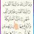 Surah AL Qadr Egzon Ibrahimi Quran Egzonibrahimi Shorts Alqadar