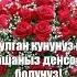 Туулган күнүнүз менен