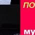 Отзывы Домашнее музицирование