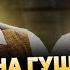 ЕЛЕНА ГУЩИНА ЧТО БЫЛО ТА ДА ОБРАЗОВАНИЕ СТУДИЯ СОЮЗ КВН ЮМОР ШОУ ИЗВЕСТЬ ИНТЕРВЬЮ