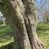 Park Bomen Burnout Pmdd Helpeachother Nature Believeinyourself Helpthehomeless Justawalk