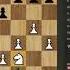 ЭТОТ ТОТ САМЫЙ ПИНГВИН IM GELMANALEXANDER Vs GM PENGUINGM1 ALEXANDER GELMAN Vs ANDREW TANG