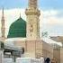 Muhammad S A V