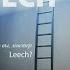 2 17 Александр Виш Leechность Кто вы мистер Leech Книга 2 Глава 17