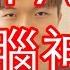 日本大叔洗腦神曲 PPAP 改編 Brain Wash Song Pen Pineapple Apple Pen 惡搞
