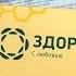 Крем Здоров от простатита с оливковым маслом и прополисом Инструкция состав