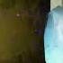 Ghost VCD Ghost Girl Is FAST