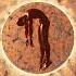 Space Motion Angel Sanchez Moonlight Ft Magnus Steven Hades Remix Afro House