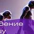 Лекция Как прямохождение изменило нашу жизнь Елена Сударикова