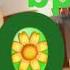 Bp Logo