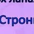 Розшукується Ракета на чотирьох лапах Джеремі Стронґ Книжковий огляд Олівія 7 років