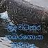 When Tikiri Liya Went To Well There Was A Tombstone In The Well This Is It