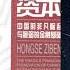 红色资本 中国的非凡崛起与脆弱的金融基础