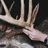 Potential New STATE RECORD 203 Inch Buck The Story Of Stomper Jr