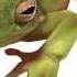 English For Children Starlight Starter Pages 10 11 What Colour Is The Frog