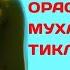 Бу Исмни ўқинг эр ва ХОТИН ОРАСИДАГИ мухаббатни тиклайди ва фисқ фужирдан қайтаради