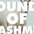 Sounds Of Kashmir 8 KSHMR Headhunterz Style Kits 100 Melodies Serum Sylenth1 Presets
