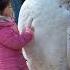 Girl Playing With A White Huge Owl