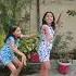 Dreamum Wakepum Dance Youtube Lincy Viral Shorts