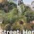722 10th Street Hermosa Beach Offered By Chris Phillips
