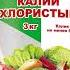 Чем подкармливать огурцы для большого урожая