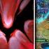 Perfect Requiem Of Souls COMBO Symphony Of Skills 238 Dota 2