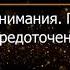 Брюс Алан Уоллес Глава 2 Революция внимания Пробуждение силы сосредоточенного ума