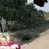 VALORIE STEALS A SMART CAR Funny Gaming Twitch Meme Shorts Cars Beamngdrive Satire