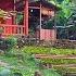 Build A Farm And Garden In The Mountains Lots Of Watermelons To Sell Harvest At The Market