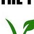 Hench Herbivore Simnett Nutrition THE TRUTH