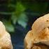 This French Egg Dish Will Blow Your Mind Œufs Toupinel