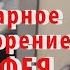 ЖОПА стихотворение Тимофея Животовского трейлер