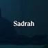 For Revenge Sadrah Official Lyric Video