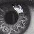 How To Draw Hyper Realistic Eyes Step By Step