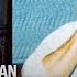 Batman Mask Of The Phantasm Kevin Conroy I Am The Knight Full Documentary Warner Bros Ent