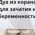 Мольба о благочестивом потомстве из Корана дуа