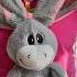 Quieren Llevarla A Un Asilo Asilo Amor Abuelita Burro Peluches