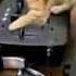 Кошки диджеи УГАР DJ Cats