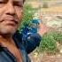 Tujhe Rab Ne Banaya Kis Liye Shorts Nandlal0980 90shindisongs Trending Shortvideo