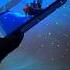 Simply Satisfying Anime Satisfying Unsinkable Boat Shorts