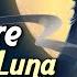 Nightcore Soarele Si Luna