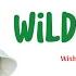 Wild Flower RM 들꽃놀이 With 조유진 Official Lirik